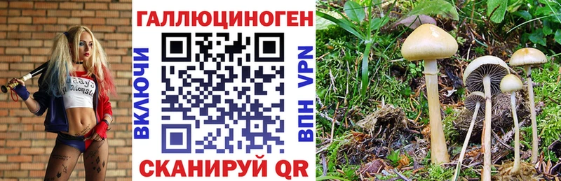 Псилоцибиновые грибы Cubensis ссылка на мегу маркетплейс Слободской